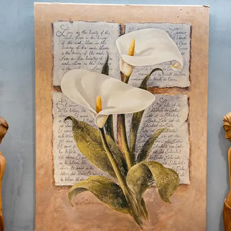 Casa Elysium - Chania Old